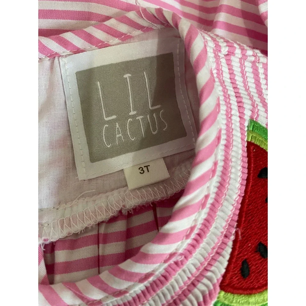 Lil Cactus EUC Girls Pink Striped Smocked Watermelon Dress Size 3T Cotton Summer